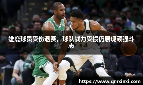 必一体育