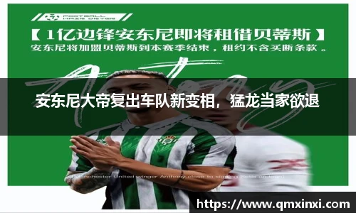 BSports网页版
