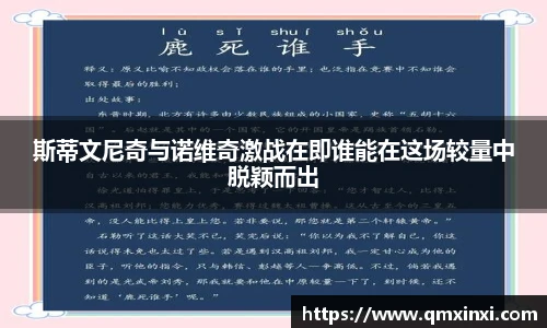 斯蒂文尼奇与诺维奇激战在即谁能在这场较量中脱颖而出